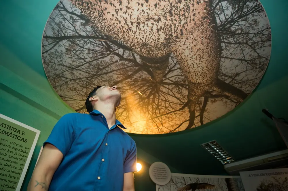 Na imagem, um dos painéis da exposição “Caatinga: Um Novo Olhar – Entre Nesse Clima”, em cartaz na Seara da Ciência da Universidade Federal do Ceará