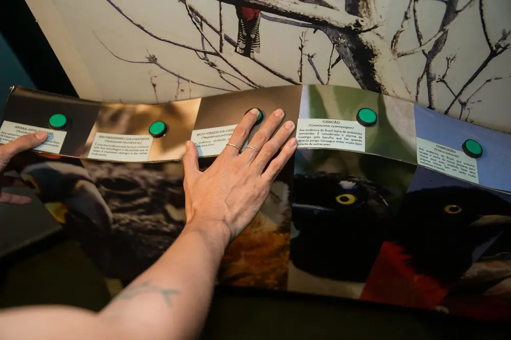 Na imagem, um dos painéis da exposição “Caatinga: Um Novo Olhar – Entre Nesse Clima”, em cartaz na Seara da Ciência da Universidade Federal do Ceará