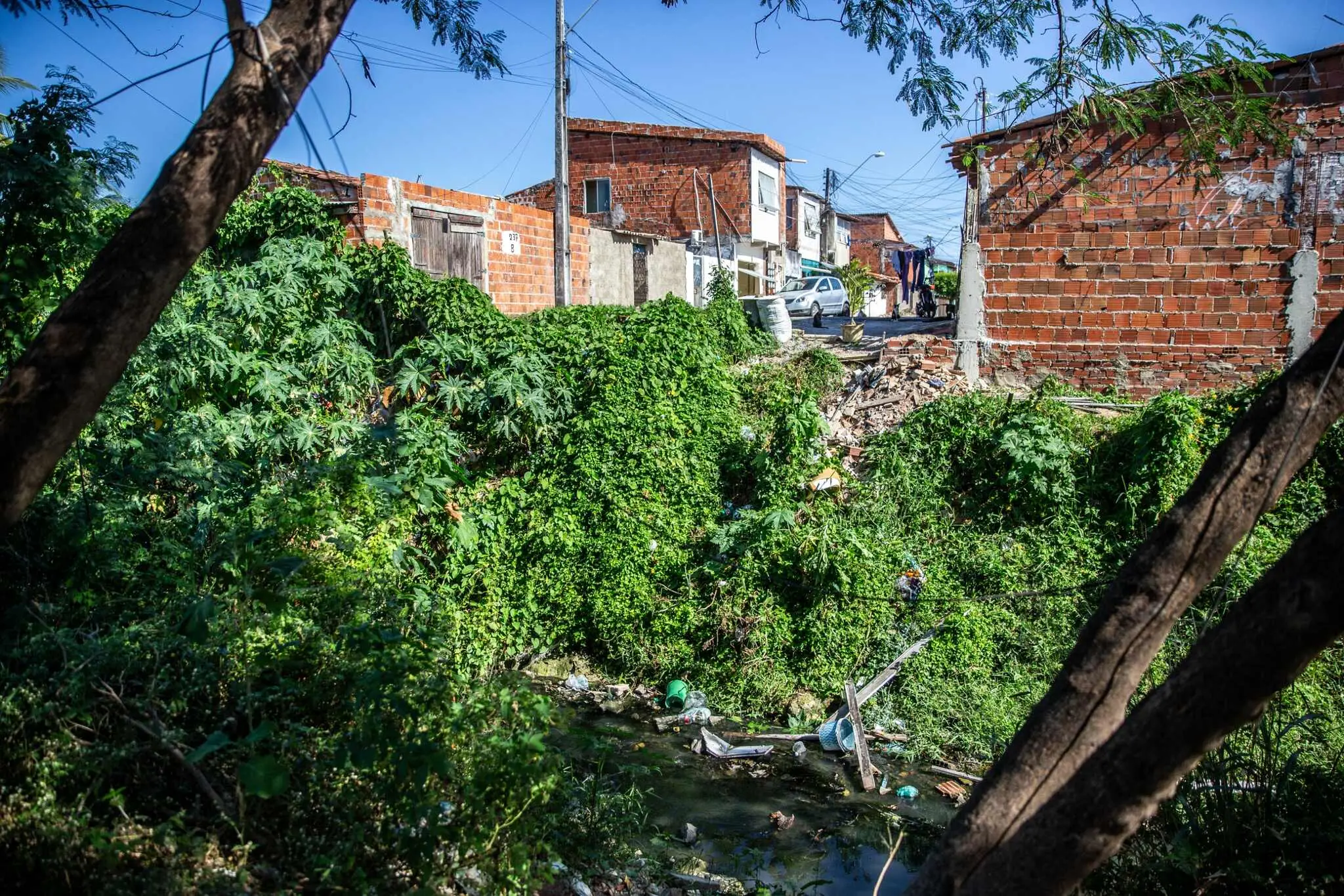Casas em área próxima a rio