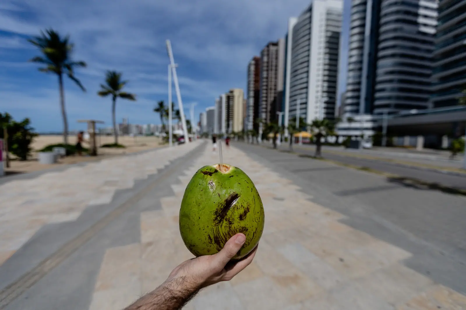 Foto mostra um coco em primeiro plano, e o cenário da Beira-Mar, área turística de Fortaleza, ao fundo