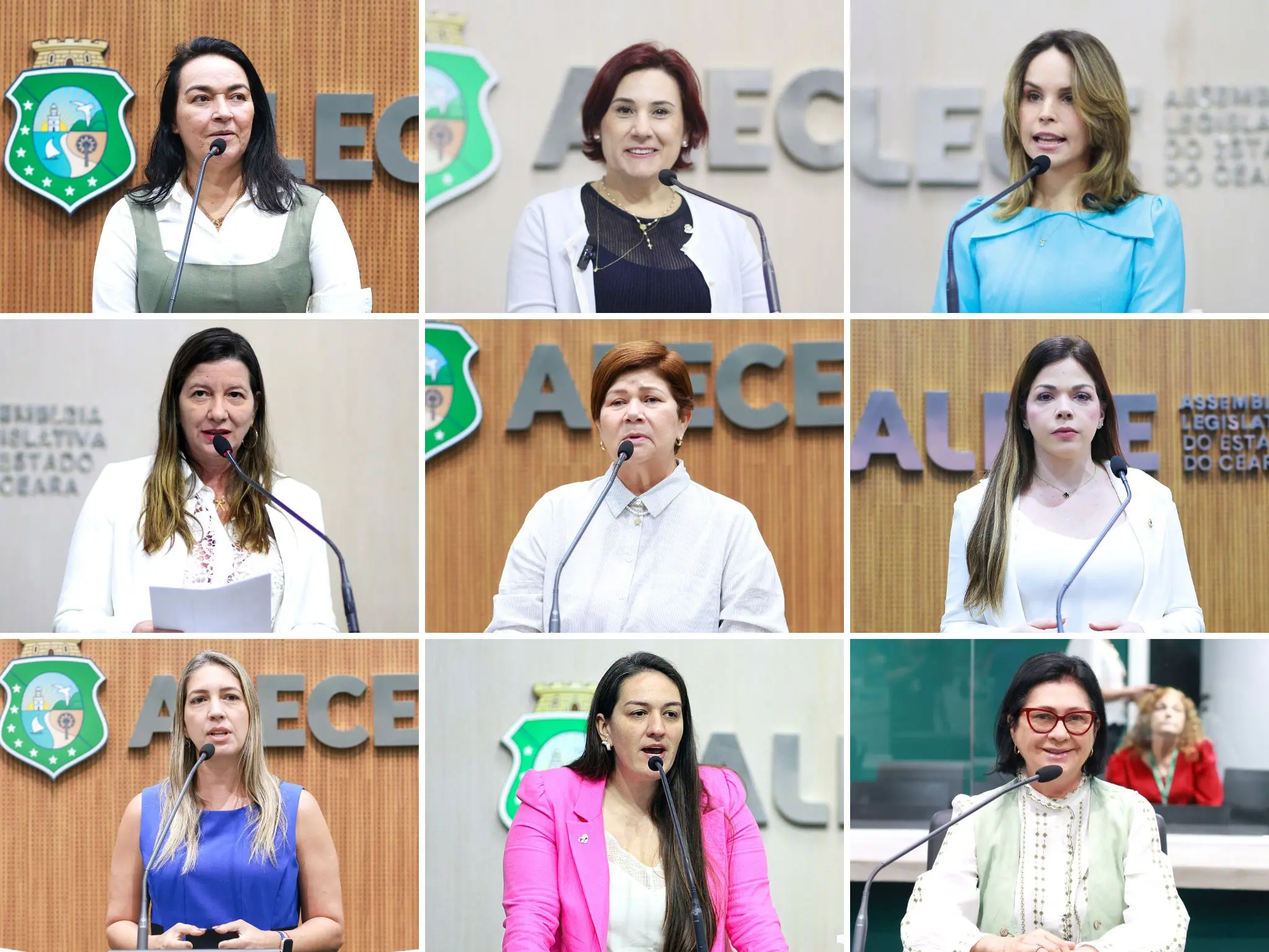 Dra. Silvana (PL), Emília Pessoa (PSDB), Gabriella Aguiar (PSD), Lia Gomes (PSB), Jô Farias (PT), Juliana Lucena (PT), Larissa Gaspar (PT), Luana Ribeiro (Cidadania) e Marta Gonçalves (PSB) foram eleitas deputadas estaduais do Ceará em 2022