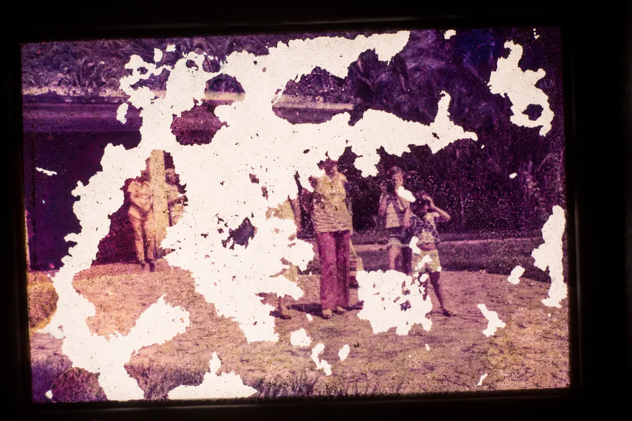 Obra 'Bezoar', da artista Dayane Araújo, em cartaz no Museu da Imagem e do Som do Ceará