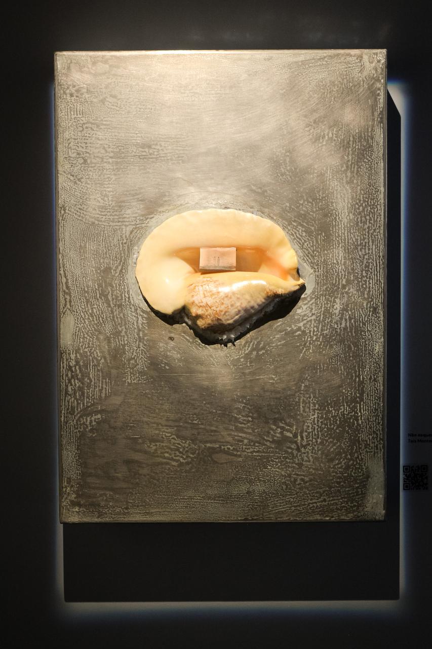 Pequena fotografia de duas mulheres desconhecidas recebida de presente de uma tia-avó inspirou obra 'não esqueço', de Taís Monteiro, onde a imagem é guardada em uma concha