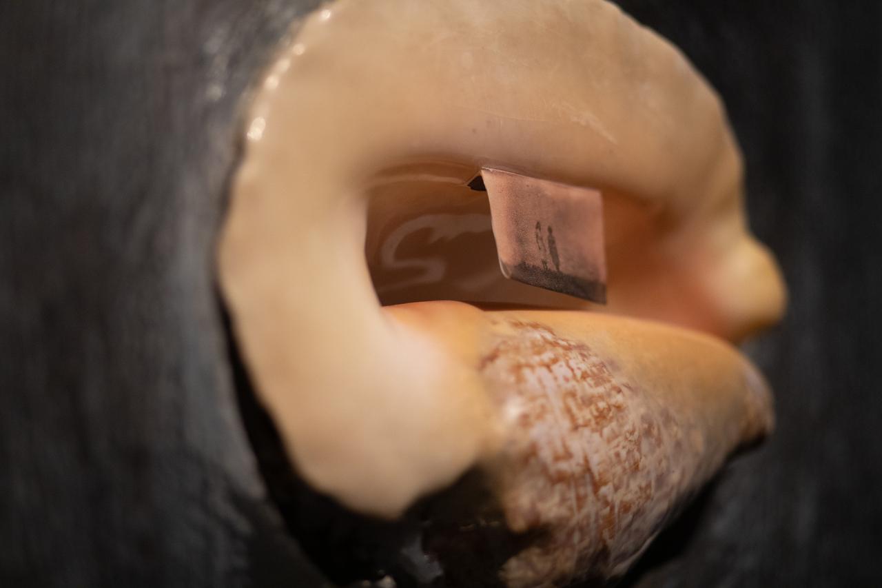 Detalhe da obra 'não esqueço', de Taís Monteiro