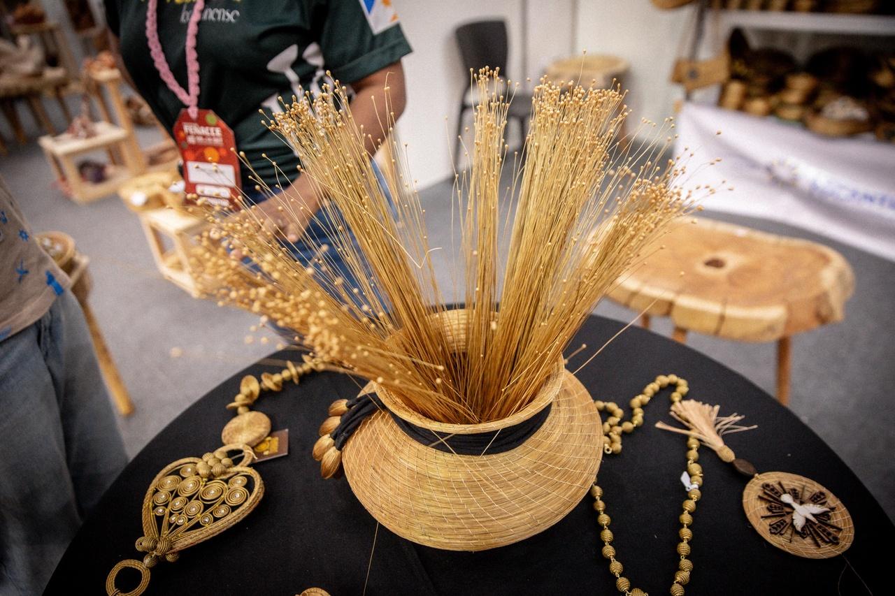 Capim dourado é colhido em Tocantins entre setembro e novembro e é usado para feitura de diferentes peças de artesanato