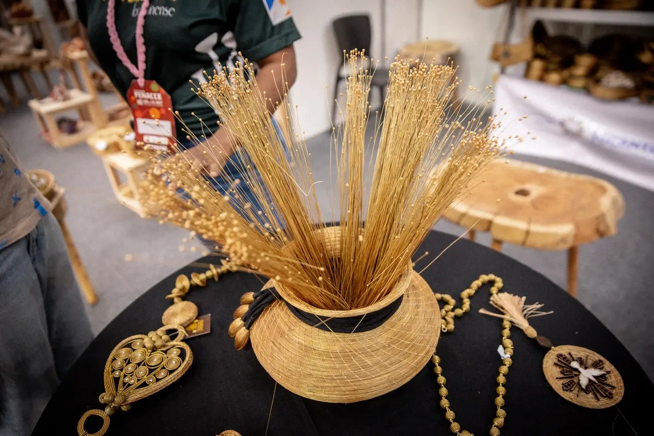 Capim dourado é colhido em Tocantins entre setembro e novembro e é usado para feitura de diferentes peças de artesanato