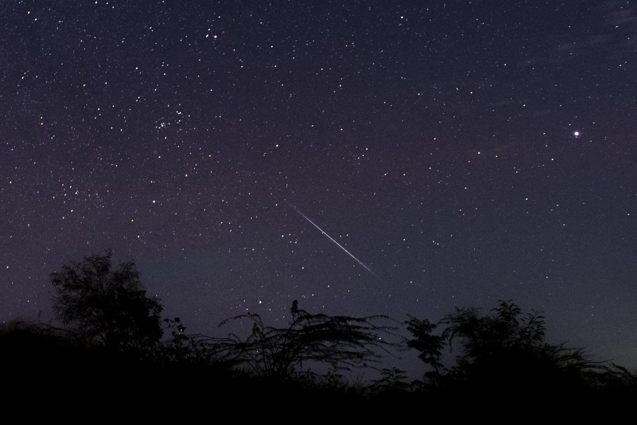 Céu estrelado à noite com uma estrela cadente e silhuetas de árvores ao fundo, mostrando uma bela paisagem noturna de observação astronômica.