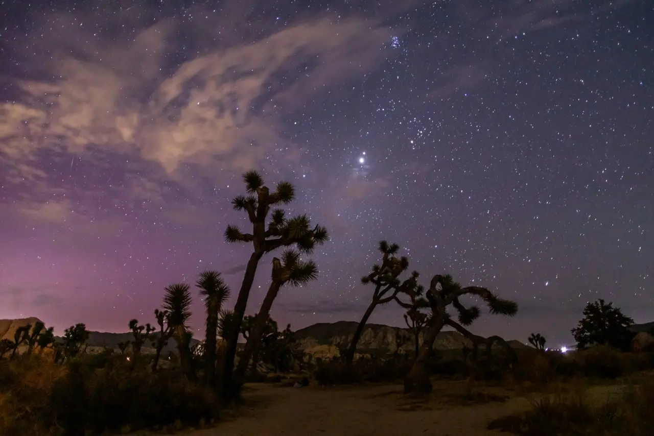 Paisagem noturna no deserto com árvores de Joshua sob um céu estrelado e o brilho da Via Láctea, criando uma cena tranquila e impressionante.