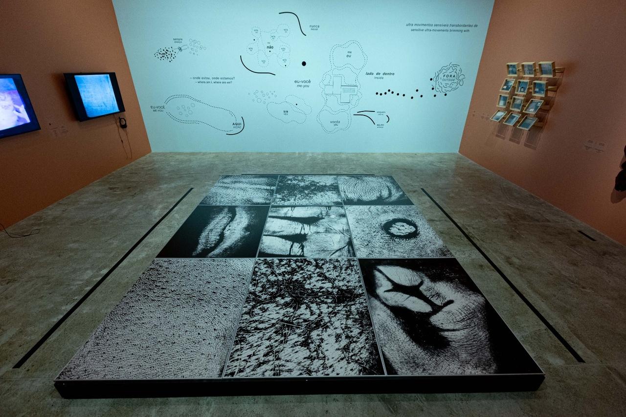 Do teto ao chão, obras convidam ao movimento do corpo