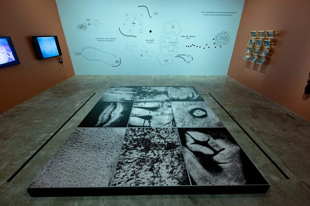 Do teto ao chão, obras convidam ao movimento do corpo