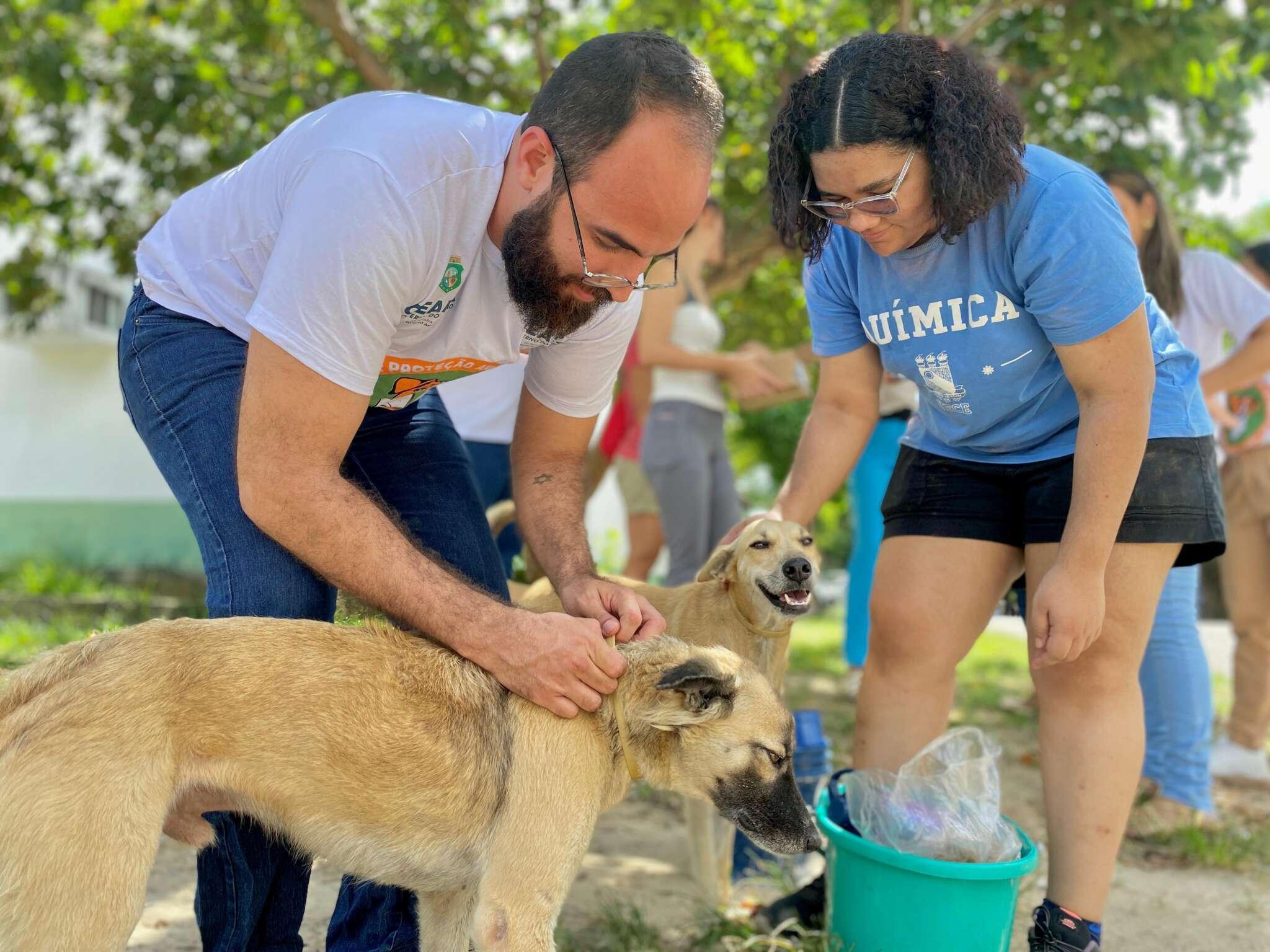 Dois voluntários participam de ação comunitária de cuidado animal ao ar livre. Um deles examina o pescoço de um cão, enquanto o outro segura um balde verde com suprimentos. Ao fundo, há outro cão e mais pessoas envolvidas na atividade. Imagem usada para matéria sobre Leishmaniose em cães