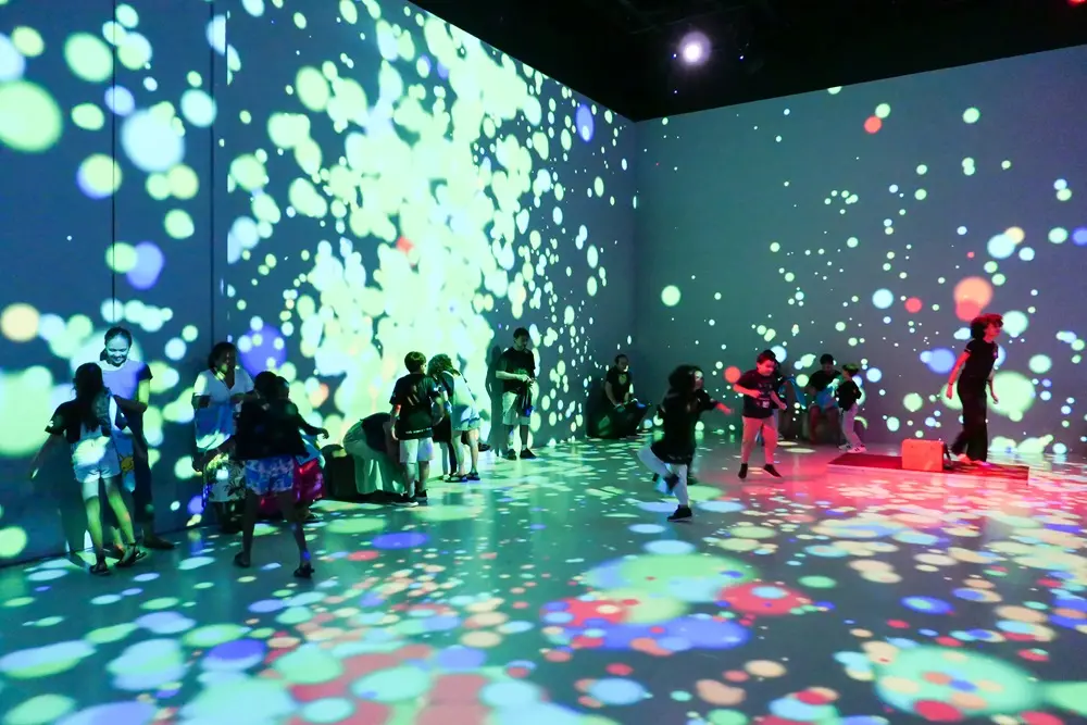 Na imagem, atividade de projeção em uma das salas do Museu da Imagem e do Som em alusão ao Dia da Criança