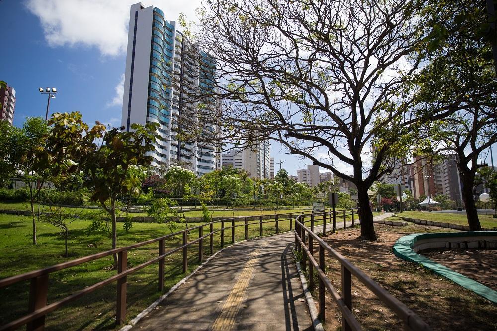 Na imagem, paisagem do Parque Estadual do Cocó