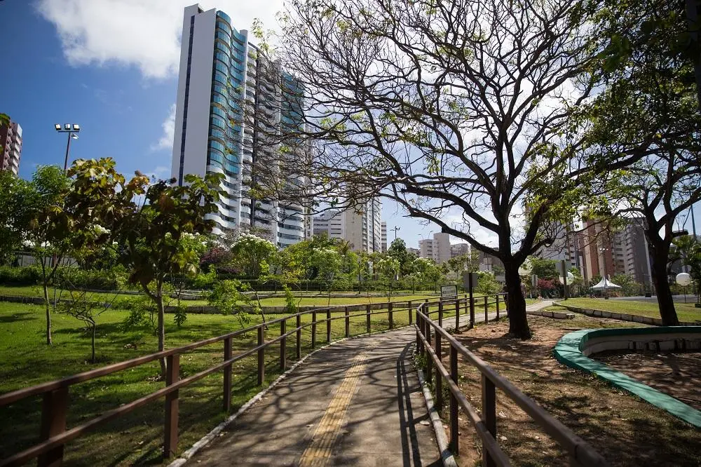 Na imagem, paisagem do Parque Estadual do Cocó