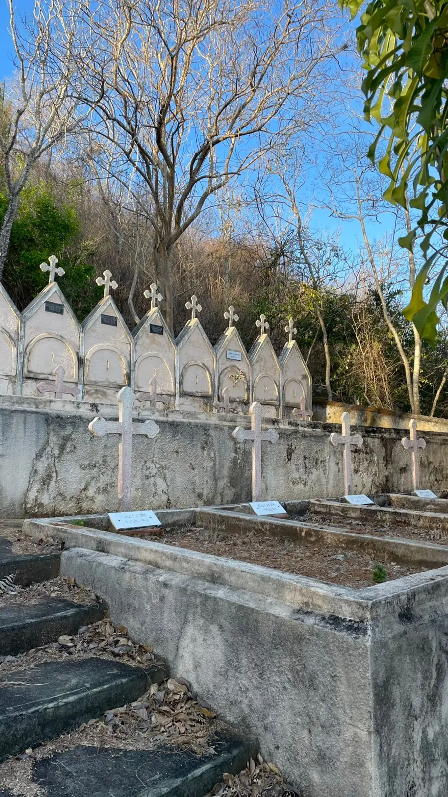 Túmulo com cruzes brancas em um cemitério ao ar livre, com árvores ao fundo e céu azul, em um ambiente de tranquilidade e homenagem aos falecidos.