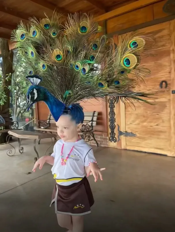O cabelo maluco de pavão foi um desejo espontâneo de Donata