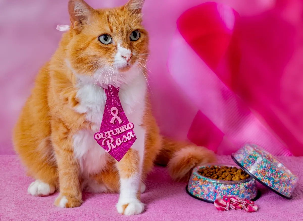 Gatas têm propensão a ter cânceres de mama mais agressivos.