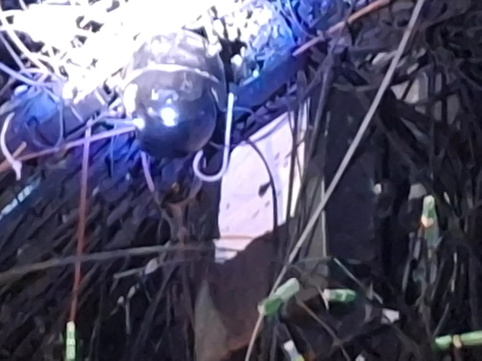 A imagem mostra uma câmera clandestina instalada em meio ao emaranhado de fios elétricos, na periferia de Fortaleza