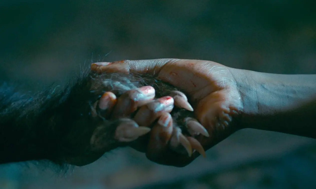 Cenas do filme de terror brasileiro As Boas Maneiras.