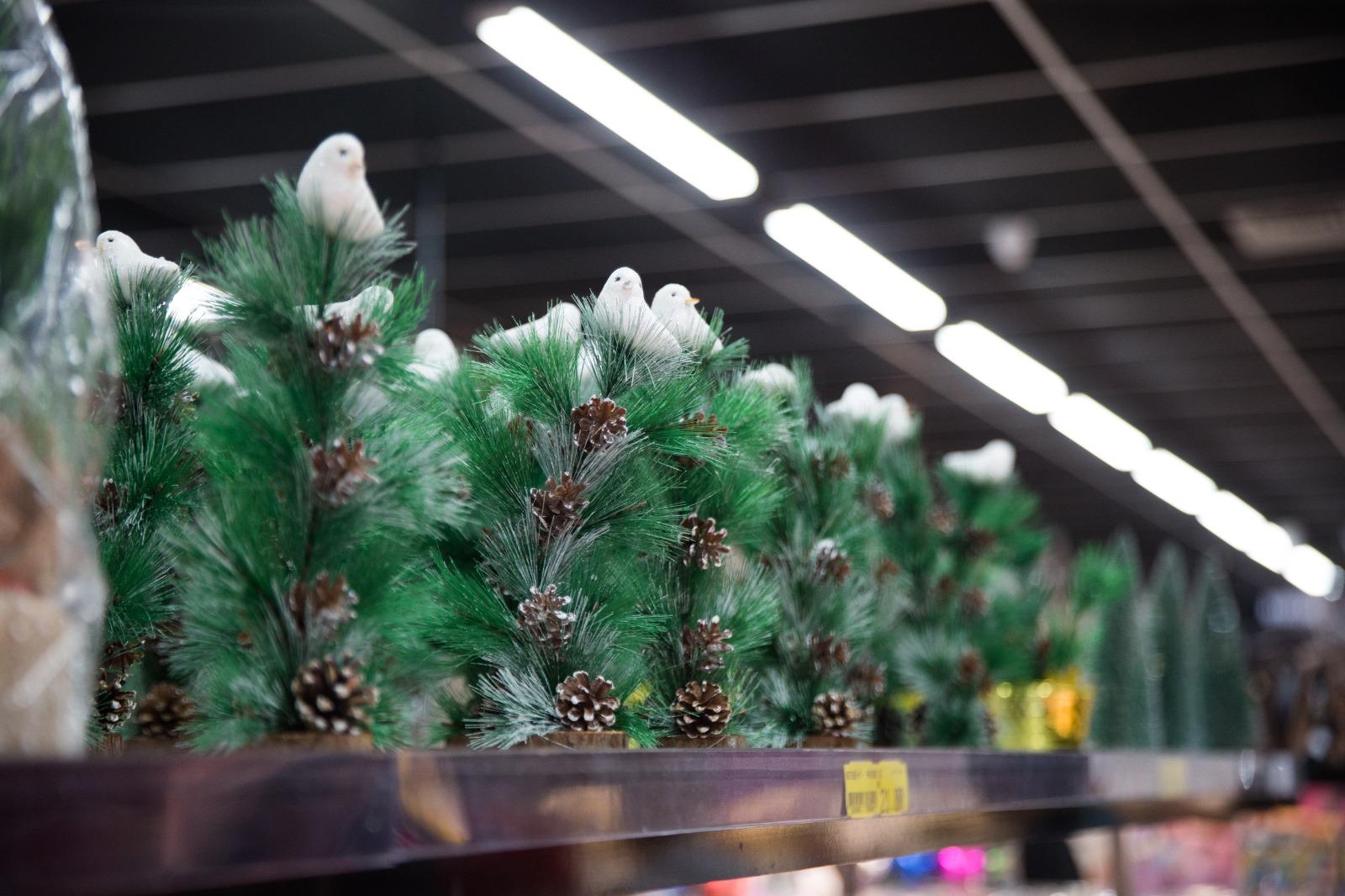 Árvores falsas de galhos verdes e pinhas em seus pés, enfileiradas em uma prateleira de loja.