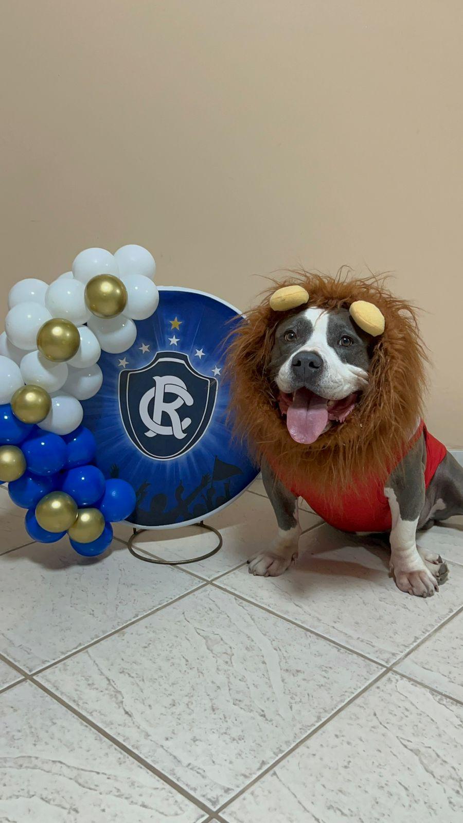 Cachorro com fantasia de leão do time remo e balões decorativos ao lado de uma placa com escudo azul e letras.