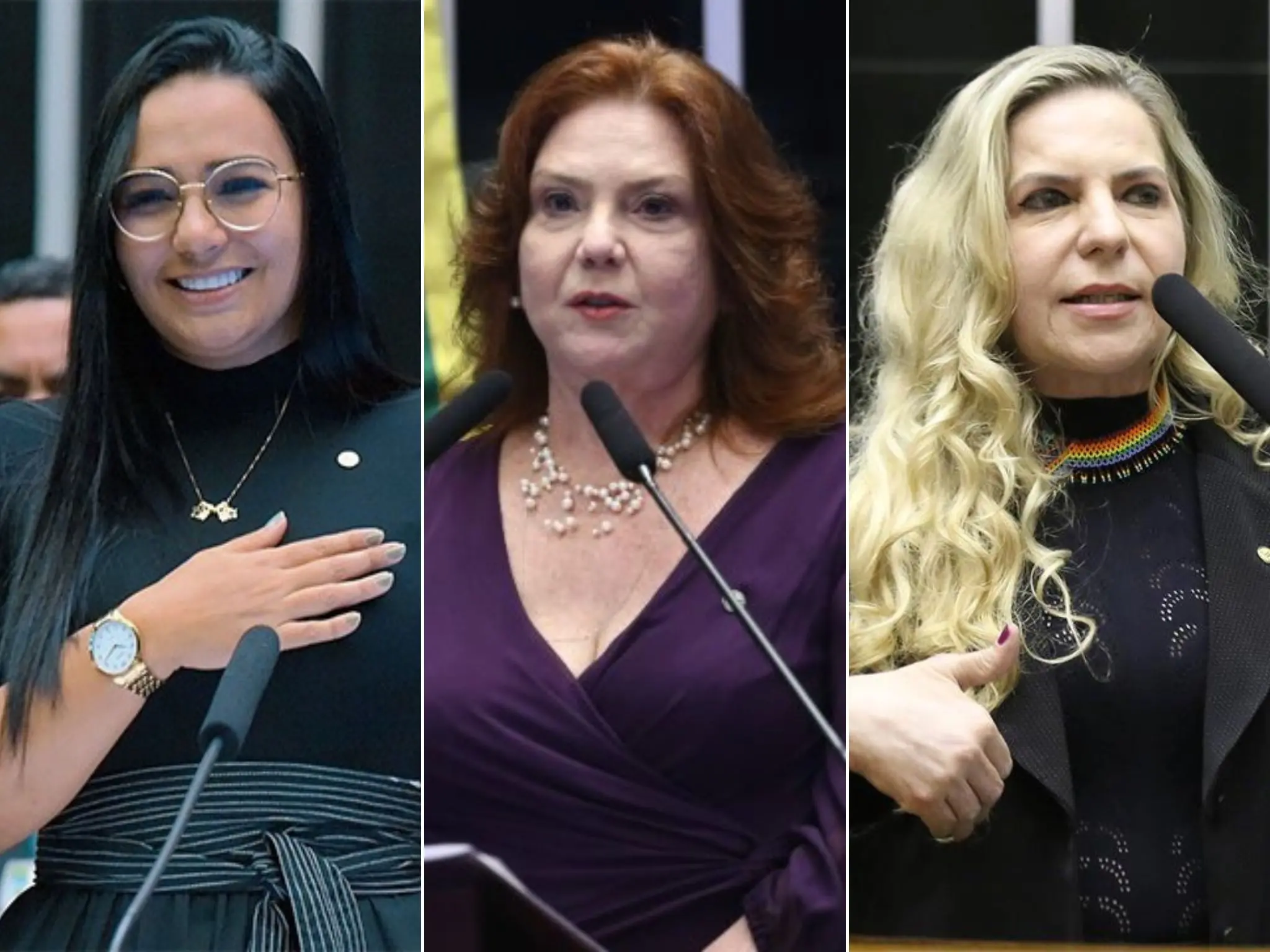 Dayany Bittencourt, Fernanda Pessoa e Luizianne Lins são as deputadas federais do Ceará.