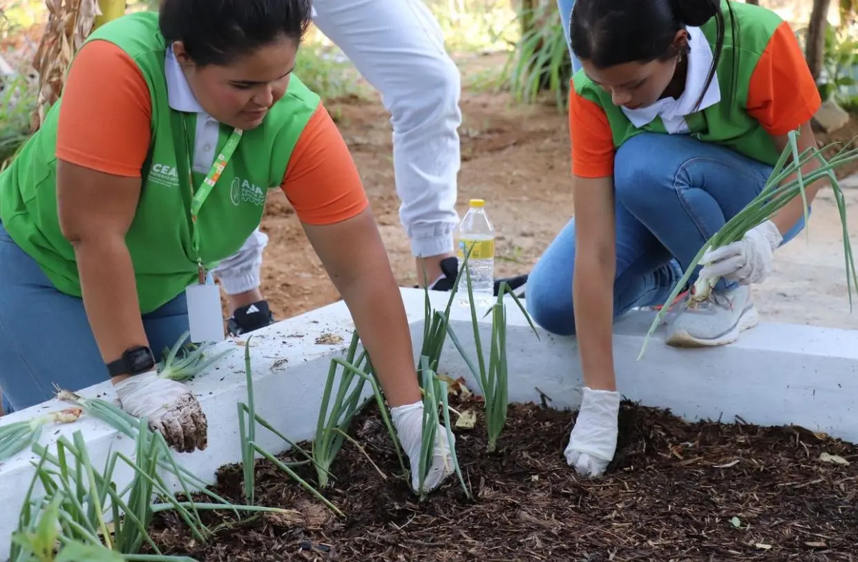 Duas jovens voluntárias, usando camisetas verdes e laranja e luvas brancas, ajoelhadas ao ar livre enquanto plantam mudas em um canteiro elevado de terra, em atividade de jardinagem ou educação ambiental.