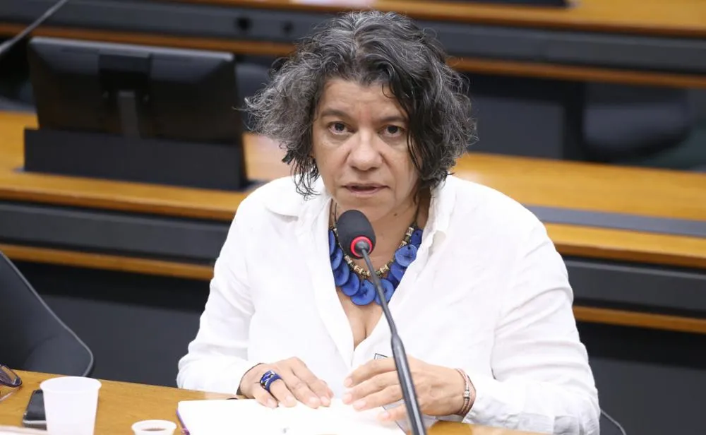 Existe a meta de apresentar o projeto da Lei Geral ainda em 2026; para isso, um grupo de trabalho foi criado para isso no Ministério das Mulheres.