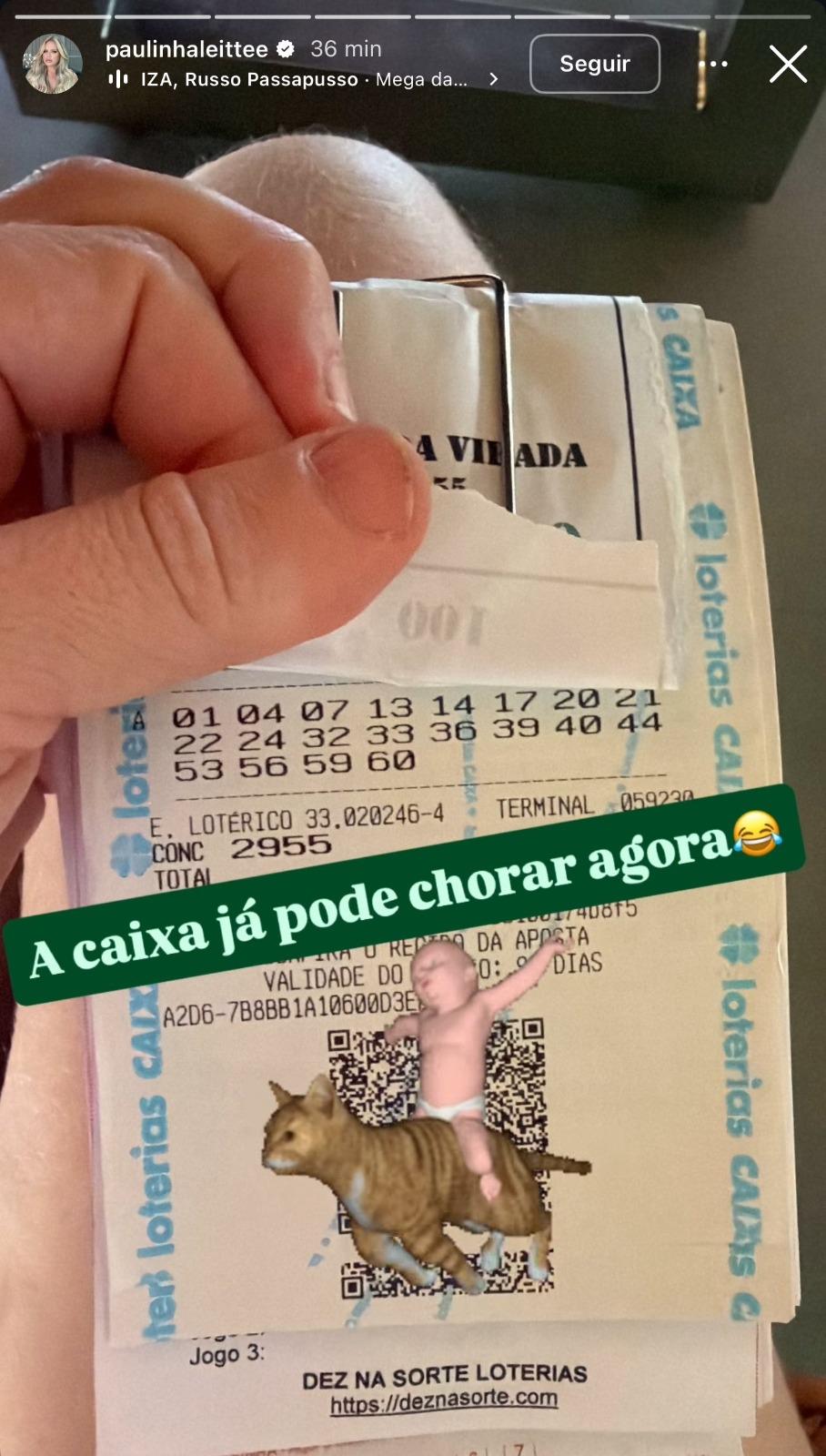 Captura de tela de story de Paulinha Leite, que acertou quina na Mega da Virada.