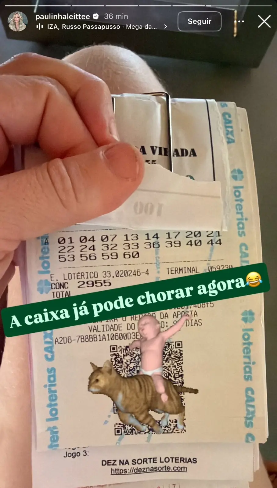 Captura de tela de story de Paulinha Leite, que acertou quina na Mega da Virada.