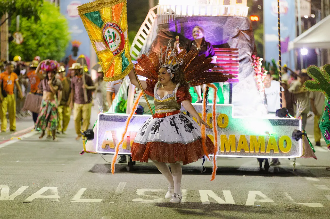 Imagem do desfile do bloco A Turma do Mamão de 2025.