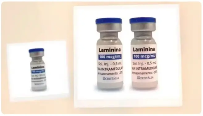 Imagem de duas frascos de laminina de 100 mcg/mL, medicamento para tratamentos relacionados à saúde, com rótulos visíveis.