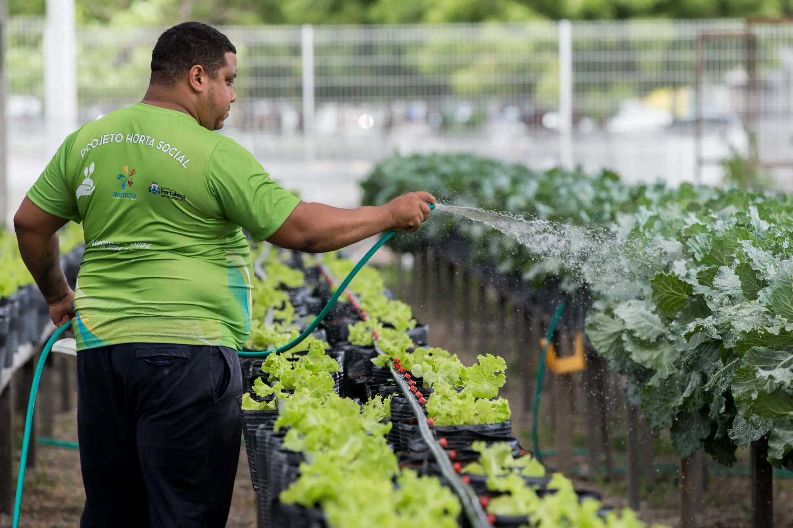 Visto de costas, um homem de camiseta verde com o logotipo 