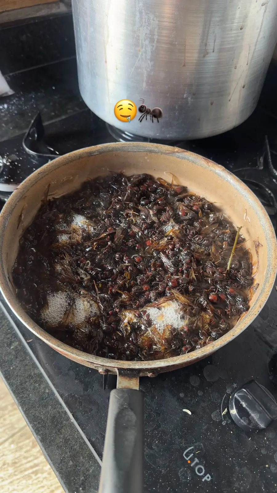 Uma panela pequena está sobre o fogão, contendo uma mistura escura composta por muitos insetos semelhantes a formigas grandes, imersos em um líquido oleoso. A mistura cobre quase toda a superfície interna da panela. O fogão apresenta leves respingos ao redor. Ao fundo, há uma panela metálica grande sobre outra boca do fogão. Na parte superior da imagem, aparece um emoji de rosto com expressão neutra e um emoji de formiga.