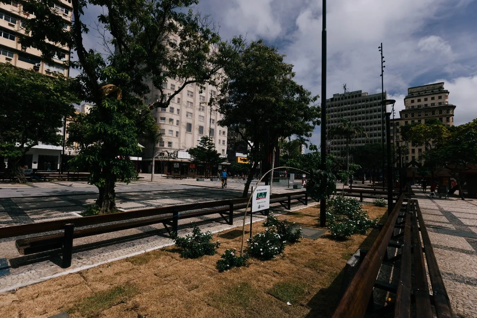Uma vista panorâmica da Praça do Ferreira mostra canteiros de grama amarelada e pequenos arbustos com flores brancas, cercados por bancos de madeira e postes metálicos. Ao fundo, árvores e prédios altos em tons claros completam o cenário urbano sob um céu parcialmente nublado. No centro da praça, nota-se uma placa informativa branca próxima à vegetação rasteira.