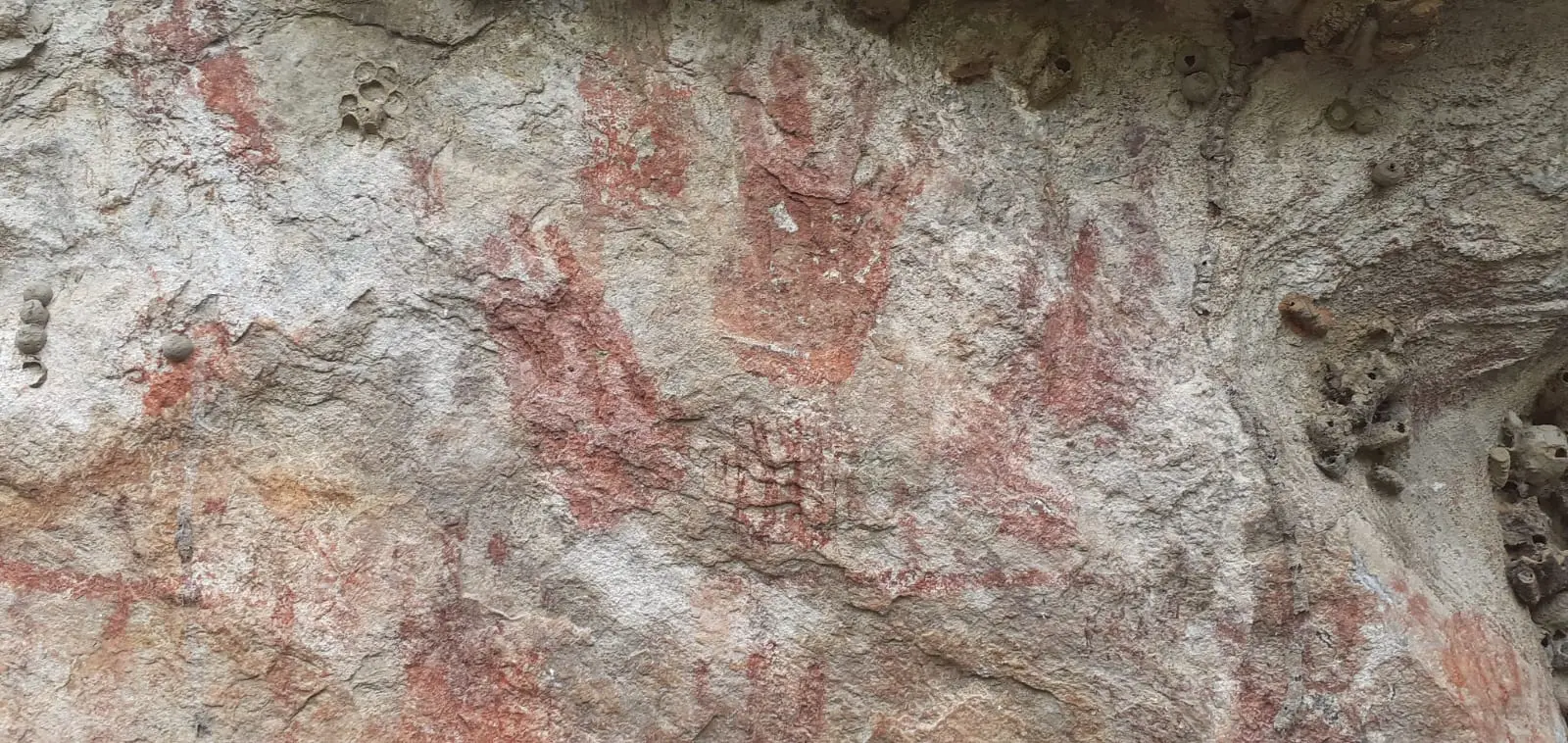 Uma parede de rocha clara e texturizada exibe diversas pinturas rupestres em tons de vermelho terroso, com destaque para a silhueta de uma mão humana espalmada no centro. Ao redor da marca principal, há manchas pigmentadas e pequenos casulos de terra ou ninhos de insetos grudados à superfície irregular da pedra. A iluminação natural revela os relevos e a porosidade da rocha milenar.
