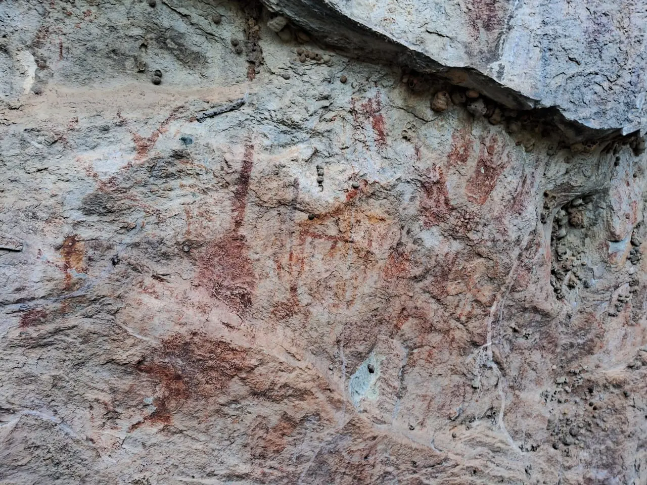 Uma parede de rocha clara e porosa exibe diversas pinturas rupestres em tons de vermelho desbotado, com destaque para grafismos geométricos e linhas verticais que se entrelaçam na superfície rugosa. Pequenos ninhos de terra em formato de esfera estão incrustados em várias partes da pedra, especialmente em uma cavidade natural à direita e ao longo de uma fissura horizontal no topo. A luz natural enfatiza as texturas da rocha e as marcas deixadas pelo tempo e pela ação humana ancestral.