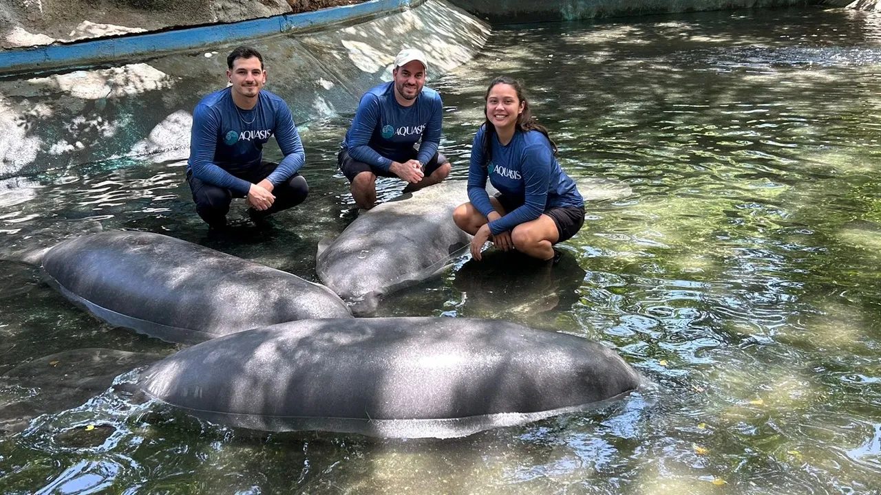 'Tico' no Parque Zoológico y Botánico Bararida.