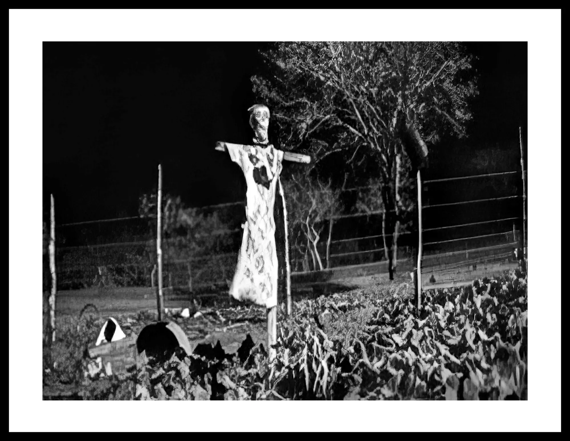Um espantalho desgastado pelo tempo ergue-se num campo à noite, rodeado por plantações e árvores em silhueta. A cena sinistra transmite um tom misterioso e melancólico.