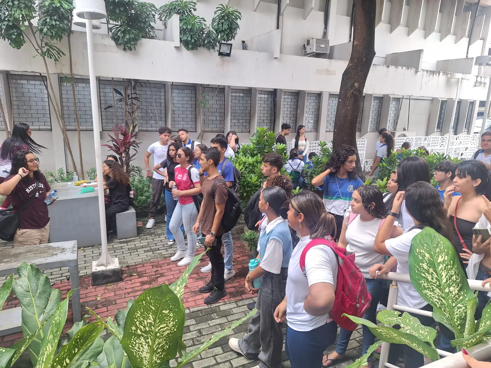 Na imagem, fotografia em plano aberto mostra um grupo de cerca de vinte jovens reunidos em uma área externa pavimentada com blocos de concreto e detalhes em tijolos vermelhos. À esquerda, uma jovem de camiseta vinho fala com o grupo, que a escuta com atenção. Os estudantes vestem roupas casuais e uniformes escolares, alguns carregam mochilas. O ambiente possui canteiros com plantas verdes de folhas largas em primeiro plano e árvores ao fundo. A arquitetura ao redor apresenta paredes brancas com janelas retangulares protegidas por grades, sugerindo o pátio de uma escola ou universidade. A luz do dia é difusa, indicando um céu nublado.