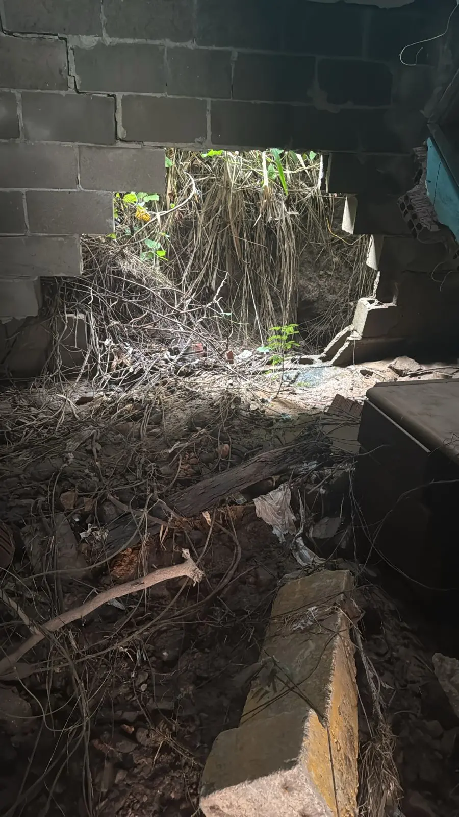 Muro com buraco nele. Ao redor, está vegetação. Local fica em Fortaleza.