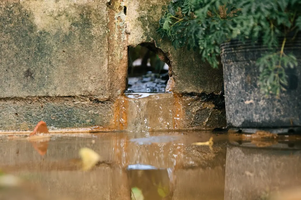 Água barrenta escorre por um buraco na base de um muro de concreto desgastado, formando uma poça reflexiva no chão. Ao lado, um vaso com folhagens verdes.