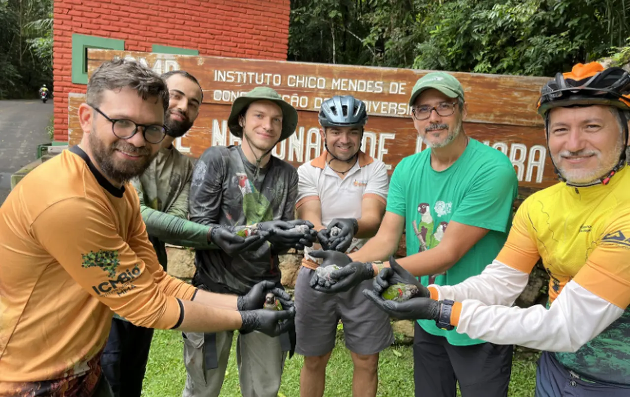 Seis pesquisadores sorriem enquanto mostram com cuidado, em suas mãos cobertas por luvas pretas, pequenos filhotes de periquito-cara-suja. Eles estão reunidos à frente de uma grande placa de madeira do Instituto Chico Mendes de Conservação da Biodiversidade (ICMBio), sinalizando a entrada do Parque Nacional de Ubajara em meio à vegetação.
