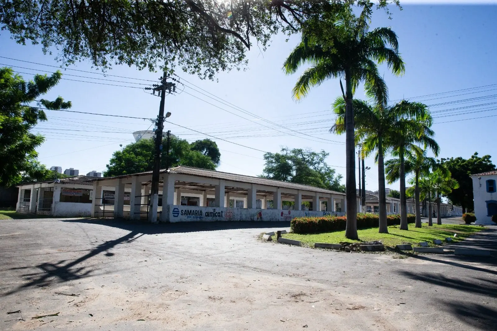 Área externa de um parque de exposições exibindo galpões brancos e abertos, uma fileira de palmeiras em um gramado e fiação elétrica sob céu claro.