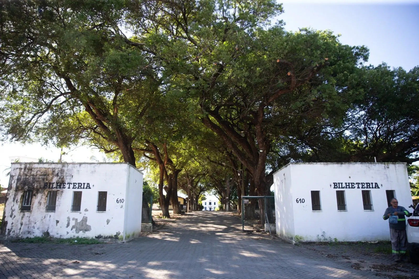 Entrada com duas bilheterias brancas sob grandes árvores que formam um túnel verde, indicando o acesso ao local do evento Cidade Junina.
