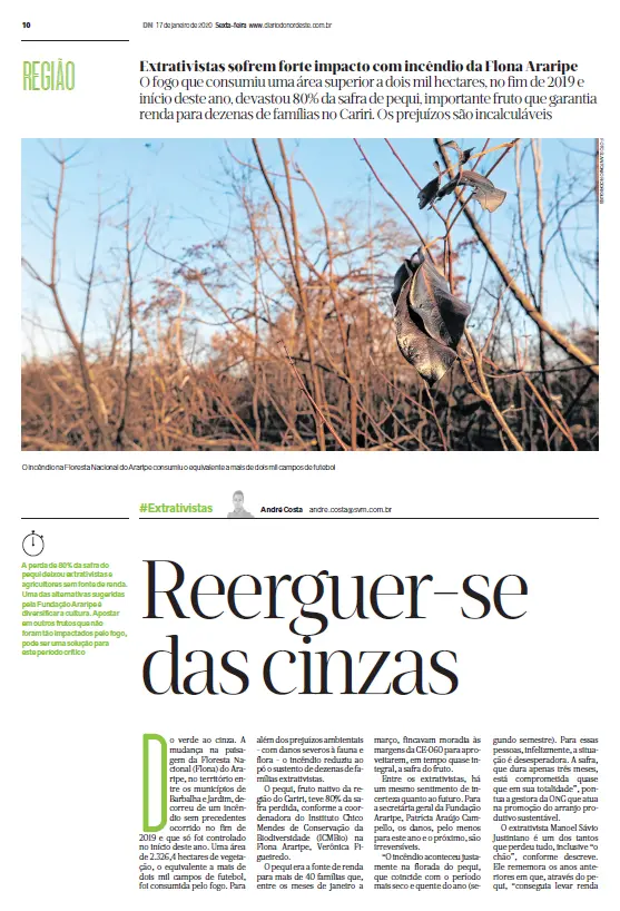 Na imagem, página de jornal impresso com uma reportagem sobre os impactos de um incêndio florestal. No topo, a manchete diz 