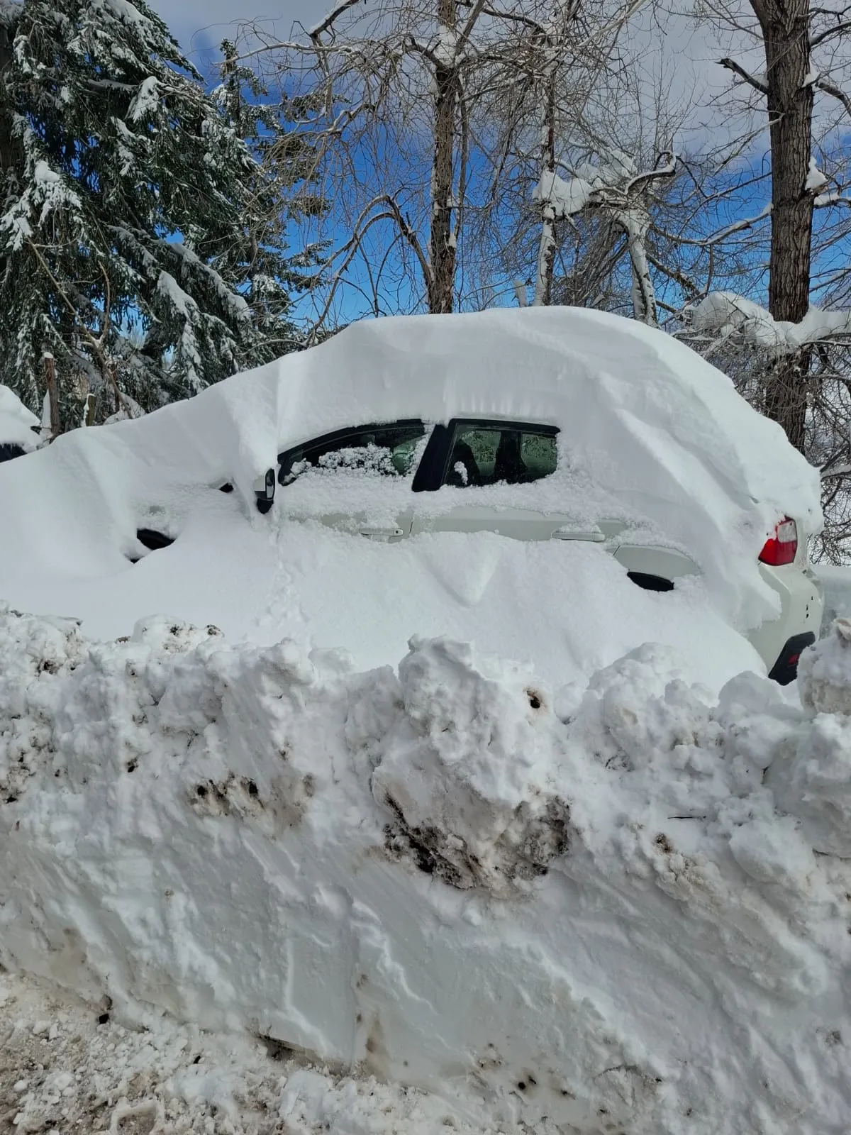 Neve cobriu carros durante nevasca.