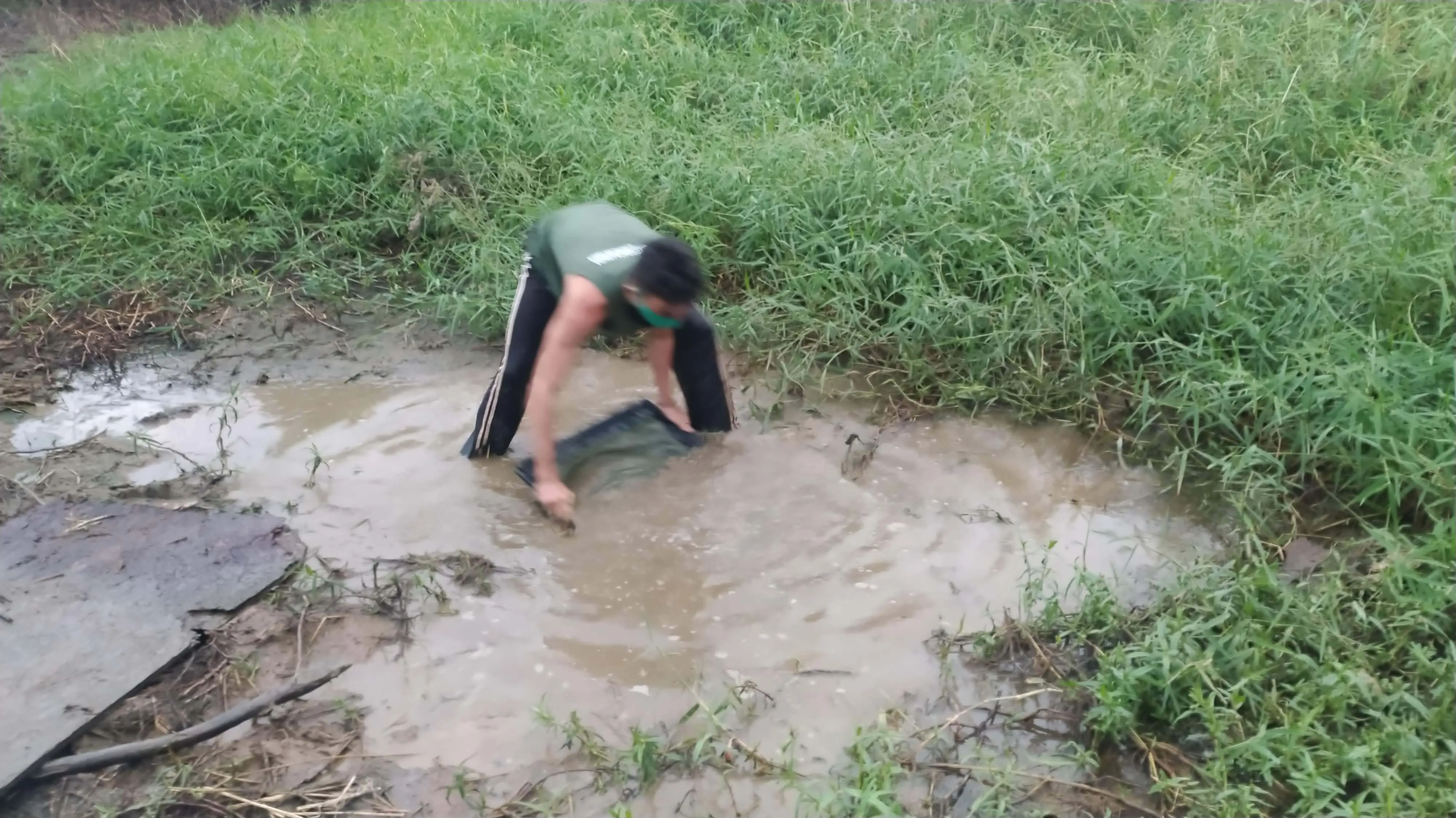 Cynolebias penaforte é conhecido de uma única poça temporária ao longo das margens da rodovia BR-116.