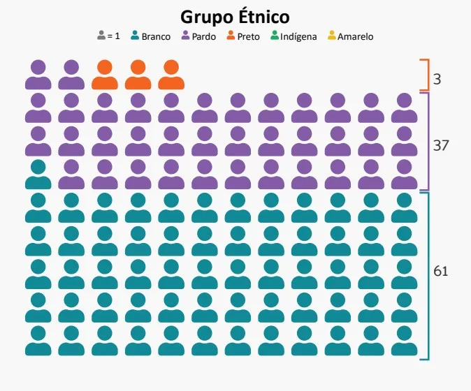 Não há presença de indígenas ou pessoas declaradas amarelas entre os entrevistados da pesquisa.