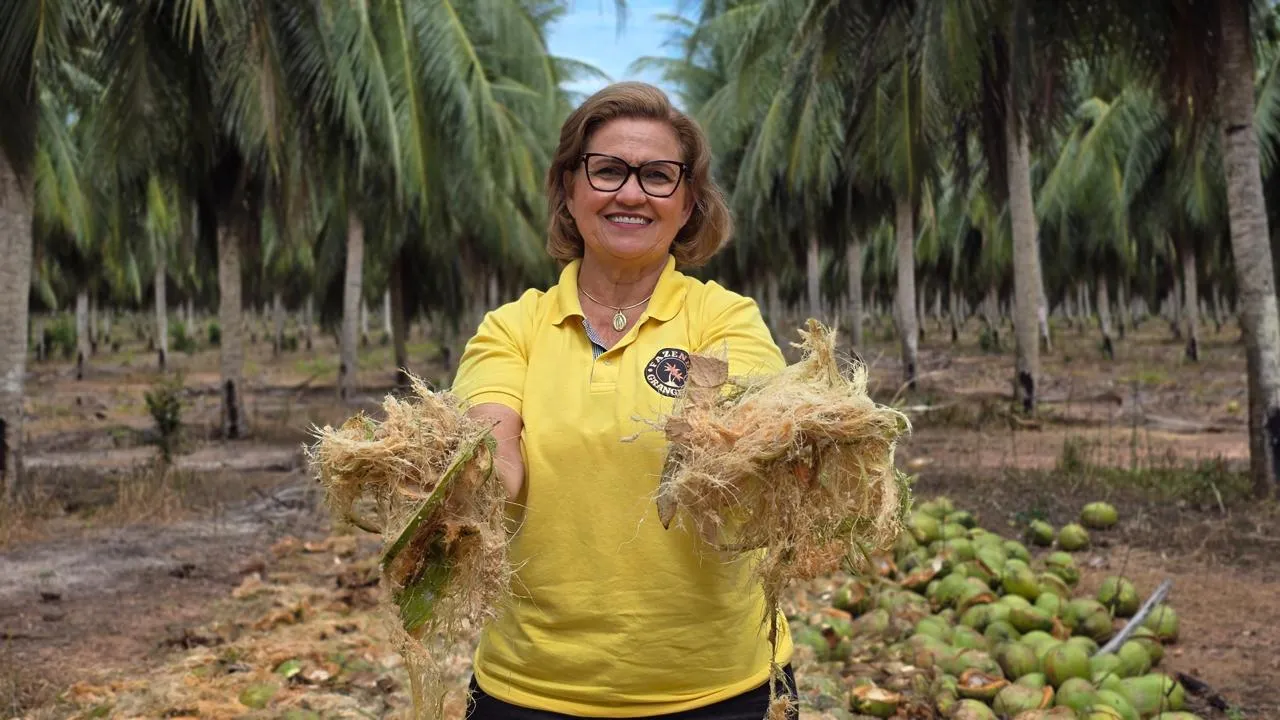 Fazenda Grangeiro produz 3 milhões e meio de cocos por ano.